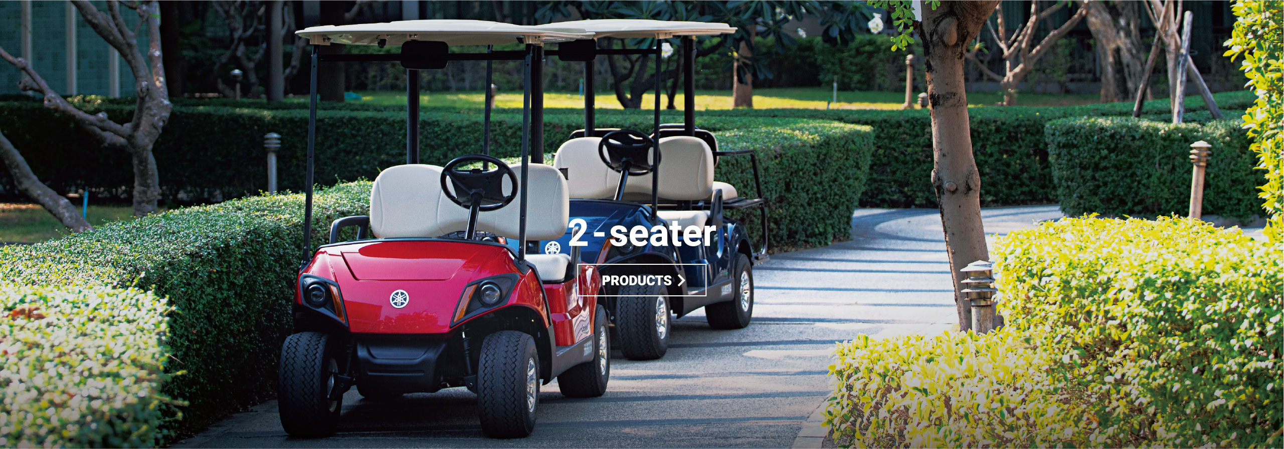 GOLF CAR 2-Seator