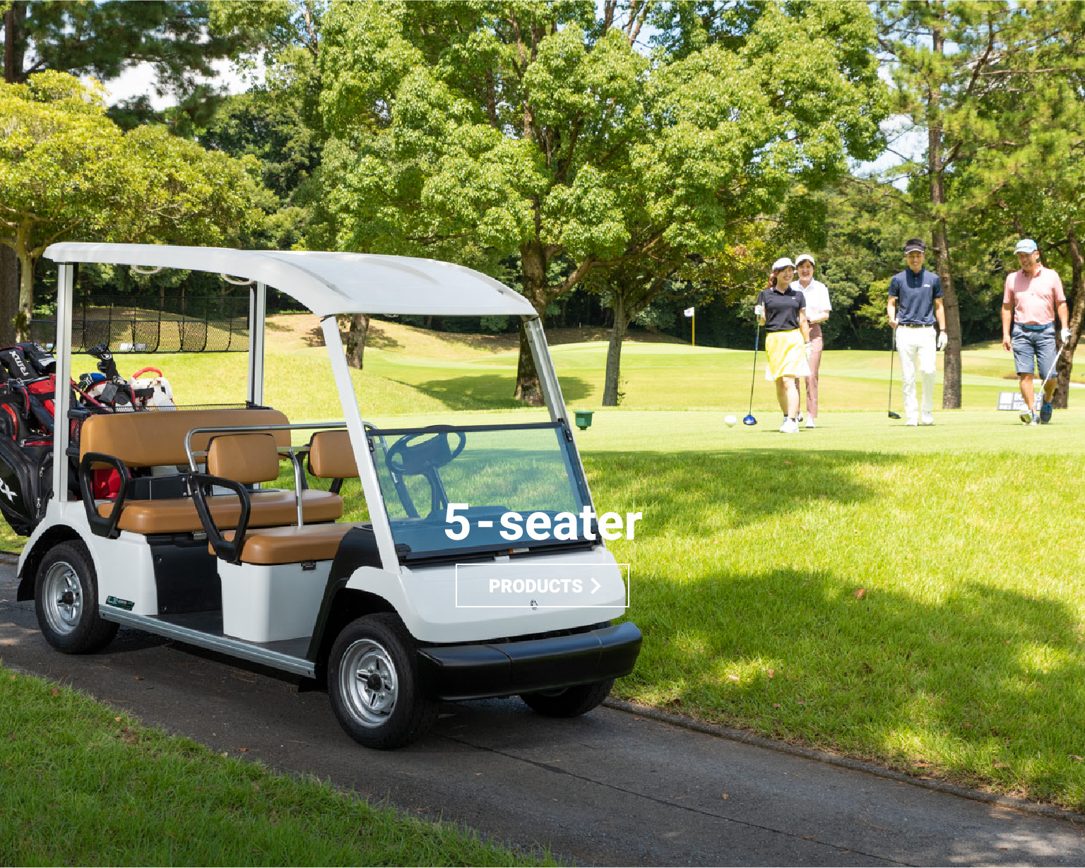 GOLF CAR-5 Seator