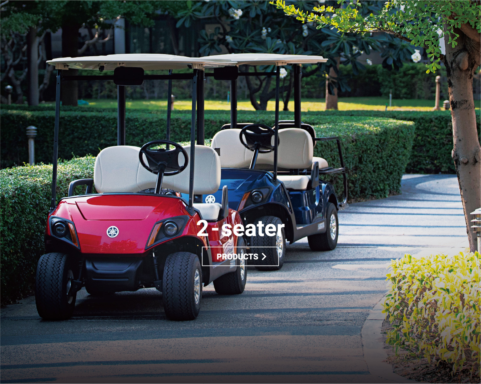 GOLF CAR 2-Seator